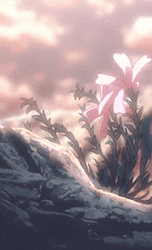 Aesthetic Pfp Flowers On Rocks GIF