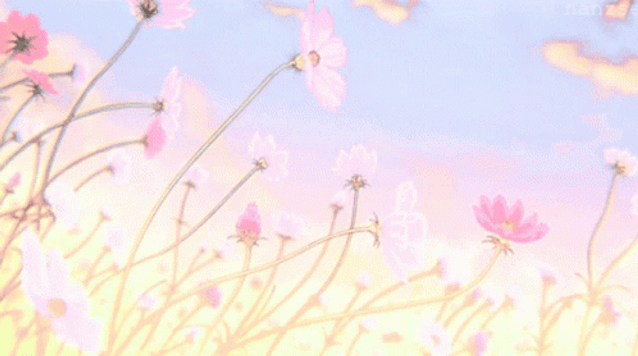Aesthetic Pink Flowers GIF