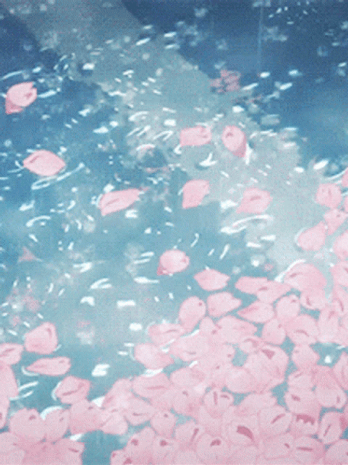 Aesthetic Pink Petals GIF
