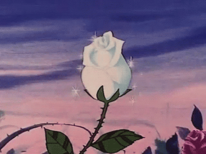 Aesthetic White Rose GIF