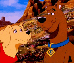 Affection I Love You Gif GIF