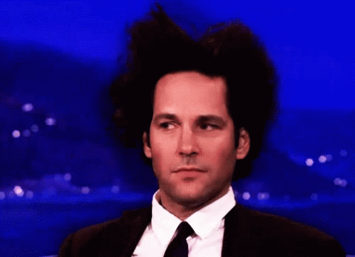 Afro Hair Paul Rudd GIF