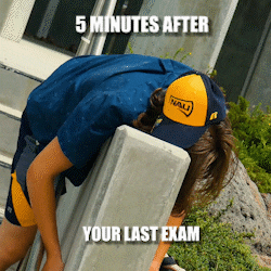After Bar Exam Man Exhausted GIF