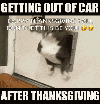 After Thanksgiving After Dinner Gif GIF
