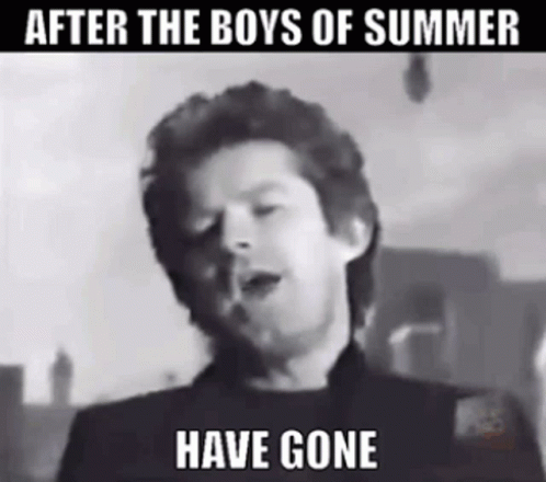 After The Boys Of Summer Have Gone
