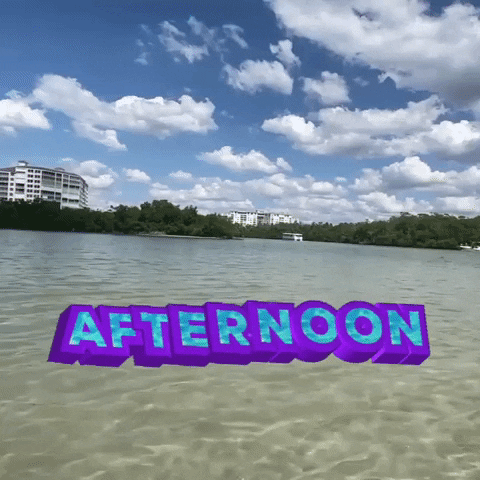 Afternoon Ocean Water GIF