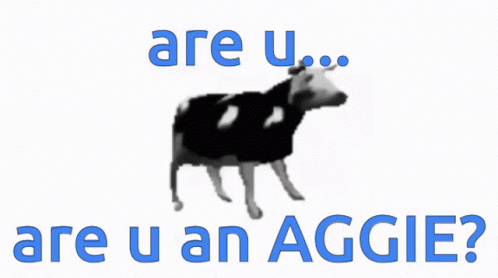 Aggies Cow Dancing GIF