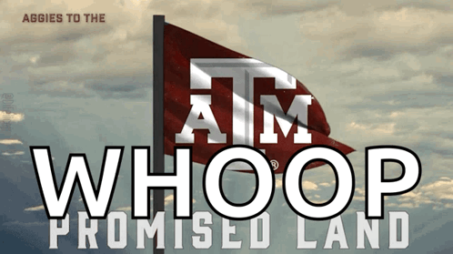 Aggies to the Whoop Promised Land Flag Poster