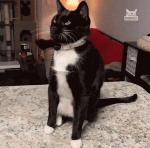 Ahhh GIF