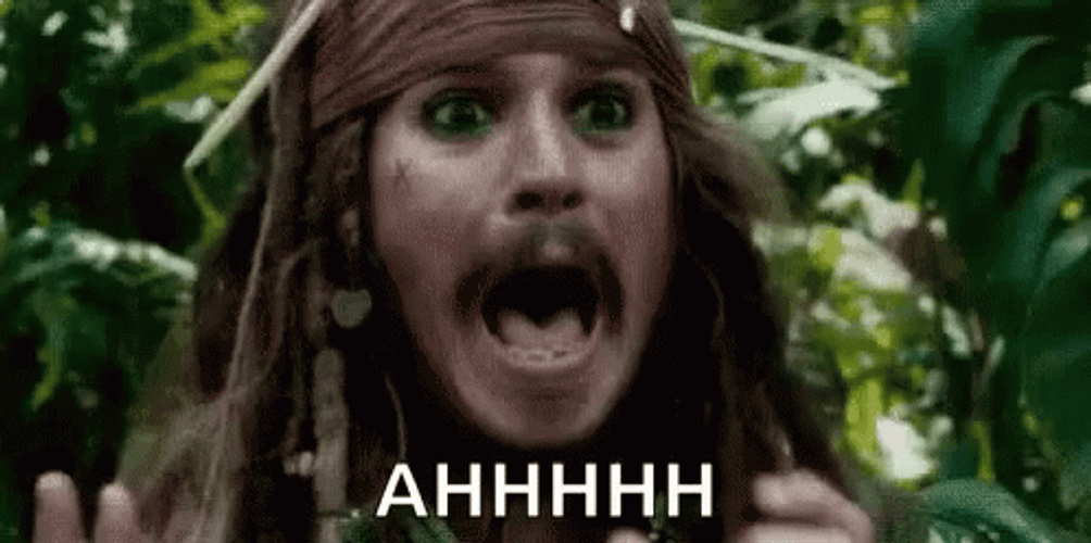 Ahhhh Shocked Jack Sparrow GIF