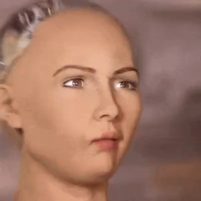 Ai Sophia The Robot Yikes GIF