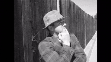 Aight Agreeing With Someone GIF