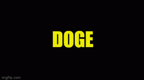 Ain't Nobody Got Time For That Doge GIF