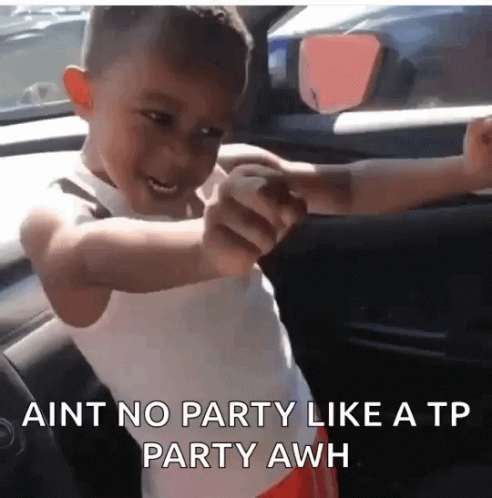 Aint No Party Meme GIF