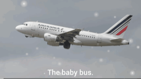 Air France Airplane Flying