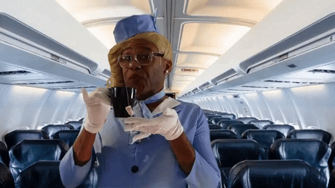 Air Plane Stewards Sipping Tea GIF