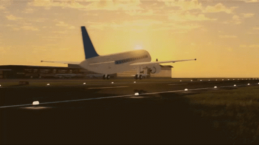 Airplane Flying Incredible Sunset Sky GIF