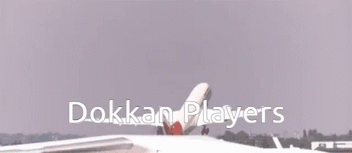 Airplane Flying With Dokka Players GIF