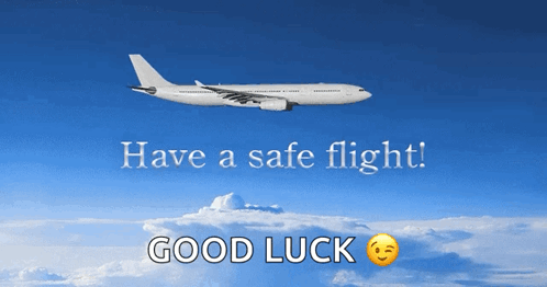 Airplane Have A Safe Flight Good Luck GIF