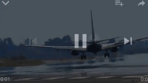 Airplane Landing on Wet Runway with Trees
