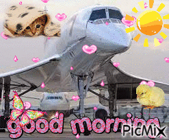 Airplane Saying Good Morning GIF