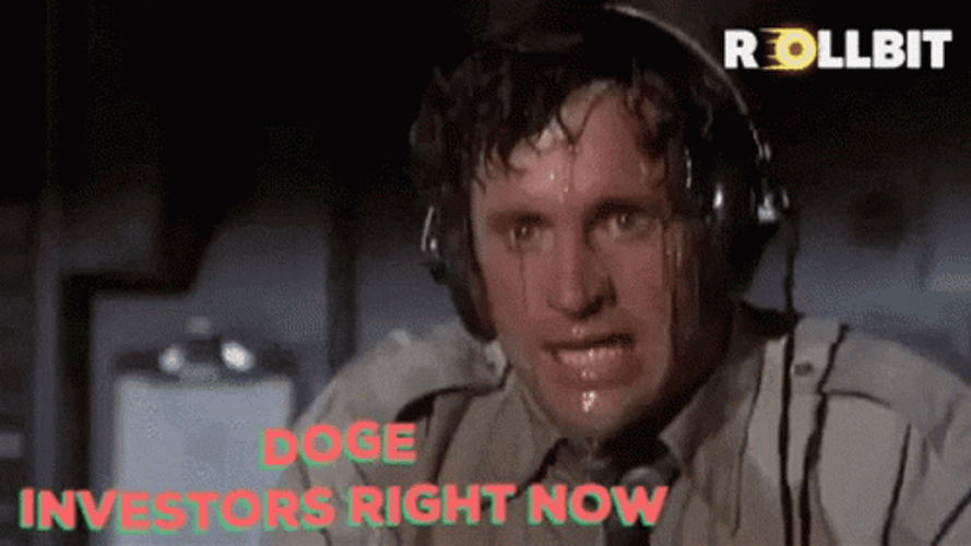 Airplane Sweating Ted Strike Doge Investor Meme GIF