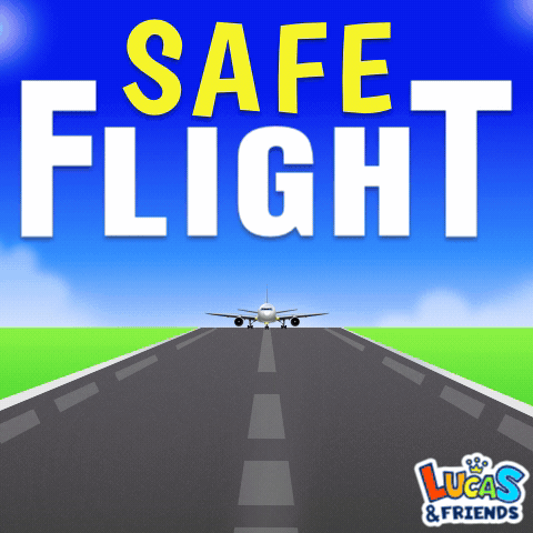 Airplane Taking Off Safe Flight