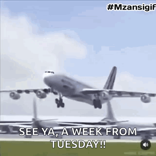 Airplane Taking Off Saying See Ya