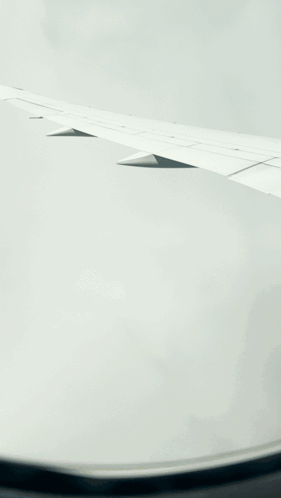 Airplane Wing with Shagarita