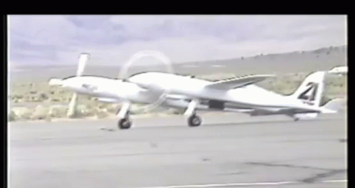 Airplane With Number 21 on Tail