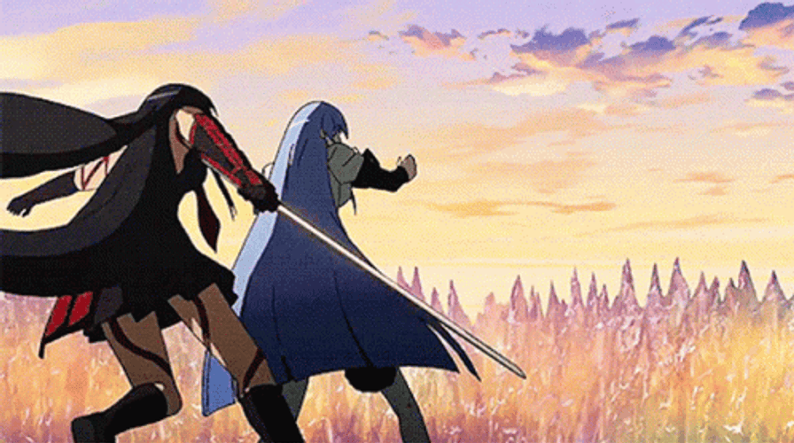 Akame Fighting Esdeath GIF