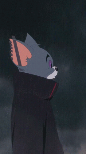 Akatsuki Tom Cat GIF