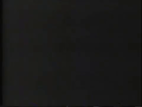 Al Capone Geraldo Rivera GIF