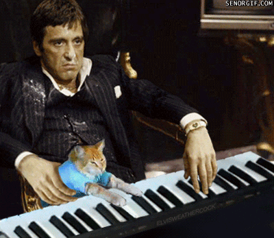 Al Pacino Helping Cat Piano GIF