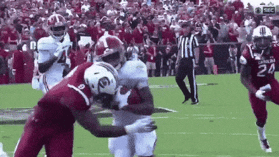 Alabama Roll Tide Football Game GIF