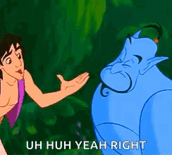Aladdin and Genie Talking