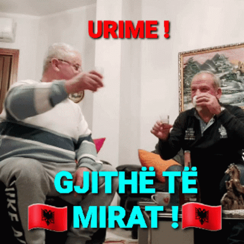 Albania Drinking Cheers GIF
