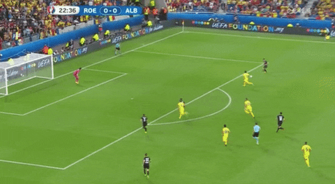 Albania Euro 2016 Football Lenjani GIF