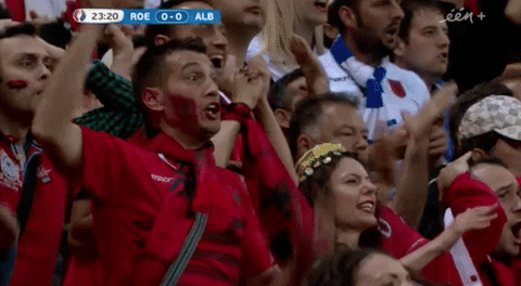 Albania Fans Disappointed Euro 2016 GIF