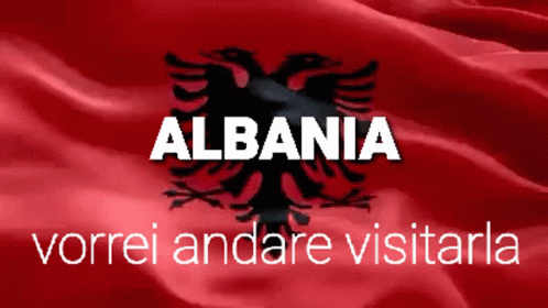 Albania Flag Visit GIF