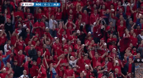 Albania Football Fans Cheering GIF