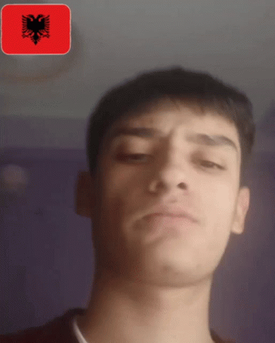 Albania Guy Dancing GIF