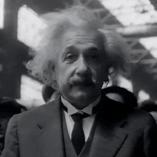 Albert Einstein Black White Face GIF