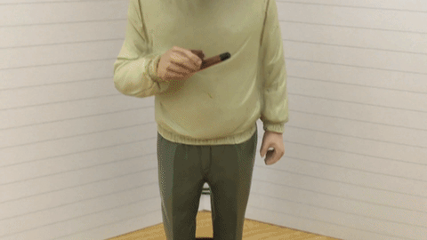 Albert Einstein Bubblehead GIF