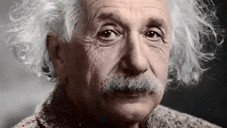 Albert Einstein Close Up Gray Hair Mustache