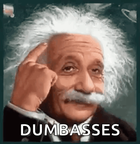 Albert Einstein Dumbasses