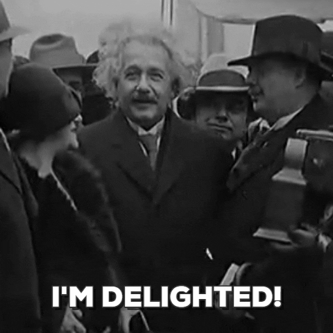 Albert Einstein Is Delighted GIF