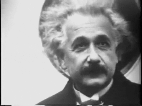 Albert Einstein Looking Around GIF