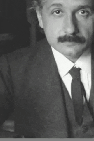 Albert Einstein Photos GIF