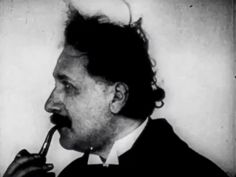 Albert Einstein Smiles GIF